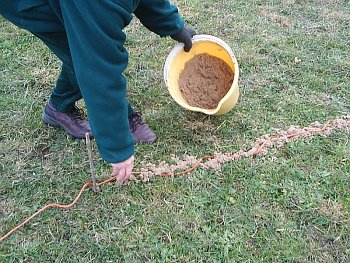 Picture of volunteers at work