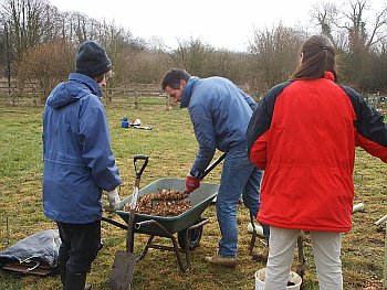Picture of volunteers at work