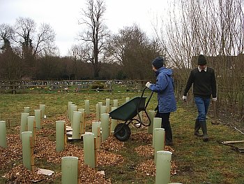 Picture of volunteers at work