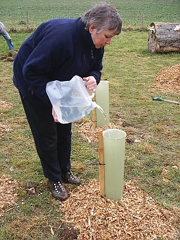 Picture of volunteers at work