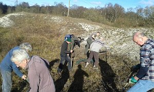 OBS volunteers clearing ground at the Chalkies