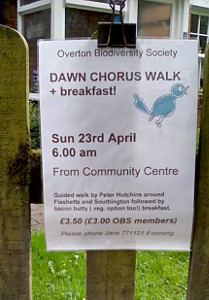 OBS Dawn Chorus poster