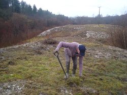 Volunteer clearing scrub