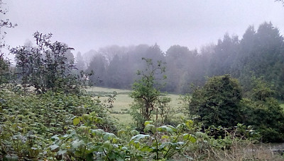 View of field at Quidhampton