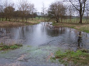 The river Test at Ashe